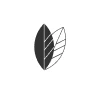 Paraben Free Icon